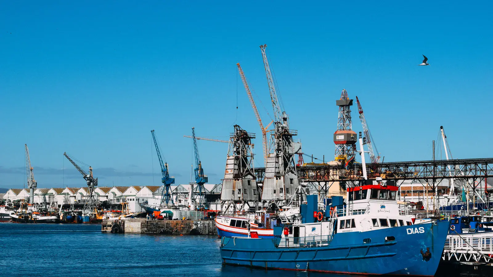 Deniz ve liman ortamı